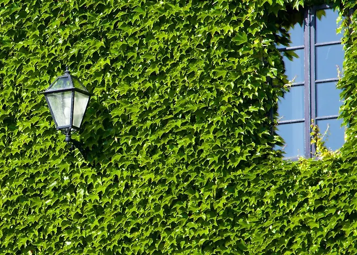 Hotel Rectoral De Cobres 1729 3*